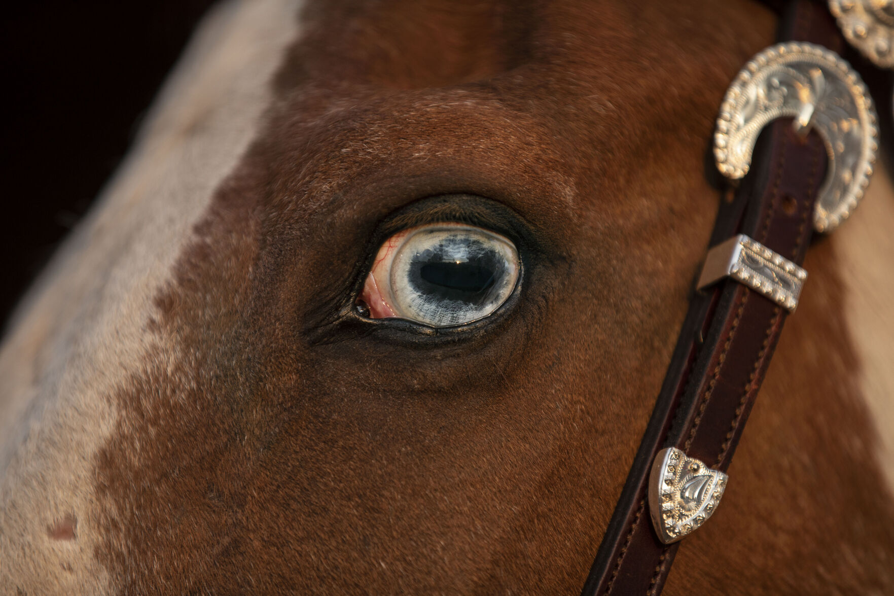 071621-s-rodeo 18.jpg